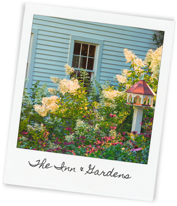 The Inns and Gardens polaroid